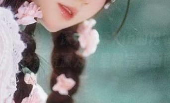 beautyleg - 深入解读Xin的内衣写真集，珍贵资源为你呈现完美画面