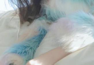 丽柜 - 在小璐璐丝袜的映衬下，探索写真中动与静的完美结合