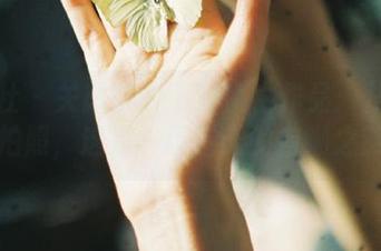 魅妍社 - 关思阳的高清奶牛作品：从养牛到拍照，这是一场逆天的自嘲之旅。