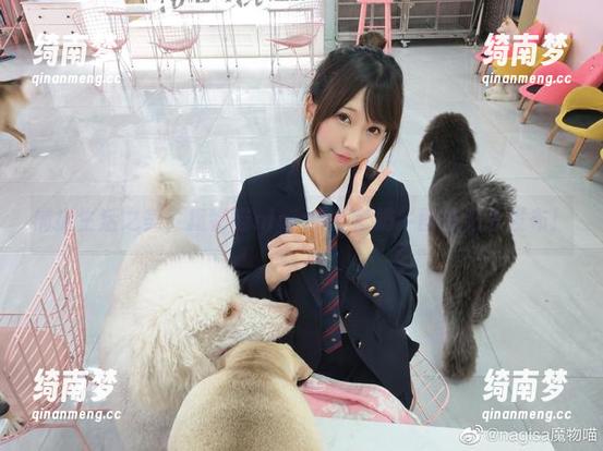捕捉生活之美，魔物喵nigisa全套奶牛图集限量发布！